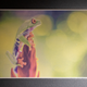 Image for article titled E Ink's New Electronic Paper Could Finally Bring Color to the Kindle